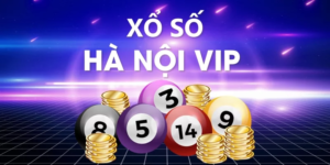 khai quat nhung thong tin chinh ve loai hinh xo so hn vip Khái quát những thông tin chính về loại hình xổ số HN Vip